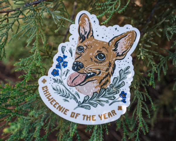 Chiweenie of the Year