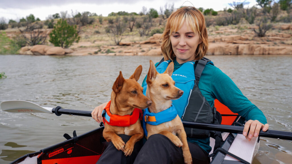 Navigating Van Life With a Dog (or Two) » Our Way to Roam